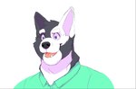 anthro biped black_body black_fur black_nose clothed clothing eyebrows fur green_dress_shirt male multicolored_body multicolored_fur open_mouth open_smile purple_eyes simple_background smile solo teeth two_tone_body two_tone_fur white_background white_body white_eyebrows white_fur daire301 canid canine canis domestic_dog mammal 2022 digital_media_(artwork) hi_res