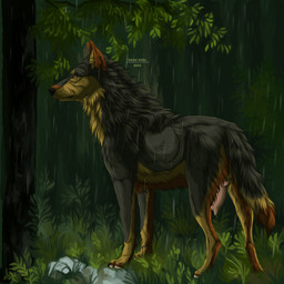 animal_genitalia animal_penis canine_genitalia canine_penis detailed_background feral genitals knot male male_feral outside penis plant raining realistic_feral solo tree msdeadsoul canid canine canis mammal wolf 1:1 2022 digital_media_(artwork) digital_painting_(artwork) hi_res painting_(artwork)