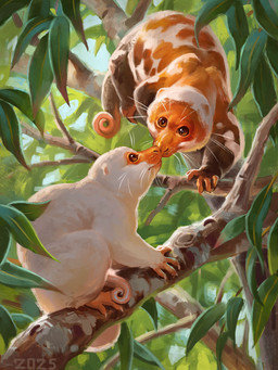 branch brown_body brown_eyes brown_fur duo feral fur in_tree leaf nose_to_nose on_branch orange_body orange_fur plant short_fur tree white_body white_fur alexpahomov australian_possum cuscus mammal marsupial spilocuscus 2025 hi_res