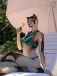 5_fingers anthro beach beach_chair beach_umbrella bikini black_body black_fur blurred_background breasts brown_body brown_fur calico_cat candy chair claws clothed clothed_anthro clothed_female clothing crossed_legs dessert digital_media_(artwork) domestic_cat eye_scar facial_scar felid feline felis female female_anthro finger_claws fingers food fur furniture green_eyes hi_res holding_candy holding_food holding_lollipop holding_object khajiit lollipop looking_at_viewer mammal markings microsoft mottled mottled_body mottled_fur multicolored_body multicolored_fur on_chair open_mouth open_smile parasol piebald piebald_body piebald_fur plant sand scar sitting sitting_on_chair smile smiling_at_viewer solo striped_markings striped_tail stripes swimwear tail tail_markings teal_bikini teal_clothing teal_swimwear techiesxc teeth the_elder_scrolls tree two-piece_swimsuit umbrella white_body white_claws white_fur