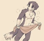 anthro athletic athletic_anthro athletic_male chest_tuft floppy_ears fluffy fluffy_tail fur kemono looking_at_another male multicolored_body multicolored_fur navel nude nude_anthro nude_male pecs simple_background smile solo steam tail towel tuft two_tone_body two_tone_fur wet dark_ishihara canid canine canis collie domestic_dog herding_dog mammal pastoral_dog sheepdog hi_res