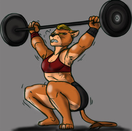 anthro armpit_hair armpit_tuft arms_above_head barbell barbell_squats blonde_hair body_hair bottomwear bra breasts cleavage clothed clothing crouching exercise female hair holding_weights multicolored_body muscular muscular_anthro muscular_female shaking shorts simple_background snatch_(weightlifting) solo sports_bra squats tail tail_tuft tuft two_tone_body underwear weightlifting workout yellow_eyes redout third-party_edit anonymous_colorist teenage_mutant_ninja_turtles sally_pride domestic_cat felid feline felis lion mammal pantherine color_edit colored hi_res