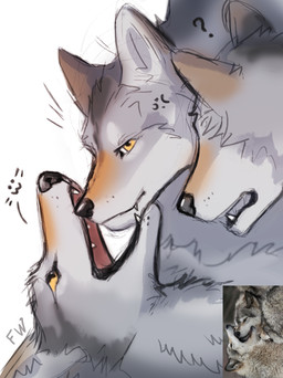 ambiguous_gender black_nose comparison feral fur grey_body grey_fur group open_mouth photo teeth trio yellow_eyes flashw canid canine canis mammal wolf 2021 digital_media_(artwork)