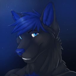 anthro black_body black_fur blue_eyes blue_hair blue_inner_ear_fluff ear_piercing ear_ring front_view fur gradient_background grey_ears grin hair inner_ear_fluff looking_at_viewer male male_anthro neck_tuft nude piercing ring_piercing short_hair simple_background smile solo tuft solaxe_(artist) nicky_(nicky86) canid canine mammal 1:1 bust_portrait portrait