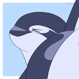 against_surface animal_genitalia animal_vulva blue_eyes blue_insides cetacean_genitalia cetacean_vulva close-up dominant dominant_female facesitting female feral first_person_view genitals half-closed_eyes looking_at_viewer narrowed_eyes on_glass sitting sitting_on_another solo vulva dolphinproject yano_(dolphinproject) aquatic cetacean dolphin mammal oceanic_dolphin orca toothed_whale 1:1 animated loop