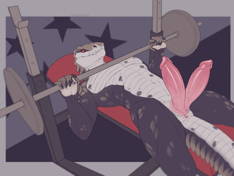 2_penises anthro anus claws diphallism erection exercise genitals looking_at_viewer lying male multi_genitalia multi_penis muscular nude on_back penis smile solo weightlifting workout xenoforge caius scalie 2020 4:3