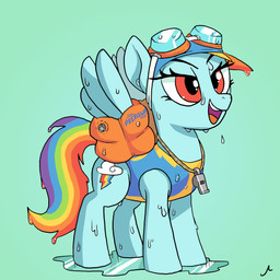 cutie_mark eyewear female goggles inflatable inflatable_armbands pool_float simple_background solo water wet whistle_(object) wings docwario friendship_is_magic hasbro my_little_pony mythology rainbow_dash_(mlp) equid equine mammal mythological_creature mythological_equine pegasus 1:1 2017 absurd_res hi_res