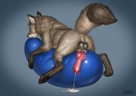 anatomically_correct anatomically_correct_genitalia anatomically_correct_penis animal_genitalia animal_penis anus balloon balloon_fetish balloon_support balls black_pawpads blue_background bodily_fluids brown_body brown_fur butt canine_genitalia canine_penis claws cum cum_on_ground cum_splatter cumshot digitigrade dipstick_tail ejaculation erection feral finger_claws fur genital_fluids genitals gloves_(marking) head_tuft inflatable inflatable_ride inflatable_support inner_ear_fluff knot leg_markings male markings multicolored_tail on_balloon orgasm pawpads penis quadruped raised_tail rear_view simple_background socks_(marking) solo tail tail_markings toe_claws tuft deusexmoose canid canine canis mammal wolf 2021 digital_media_(artwork) shaded