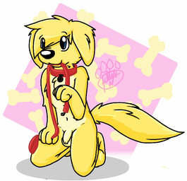 anthro balls begging biped black_nose blonde_hair blue_eyes bone chest_tuft collar eye_through_hair flaccid foreskin fur genitals hair humanoid_genitalia humanoid_penis kneeling leash looking_aside male multicolored_body multicolored_fur nude penis red_collar shadow simple_background solo translucent translucent_hair tuft two_tone_body two_tone_fur unretracted_foreskin yellow_body yellow_ears yellow_fur gaokun canid canine canis domestic_dog mammal 2015 watermark