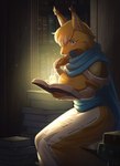 anthro blue_eyes book cape clothed clothing dress female reading sash sitting solo krnekodr sega shining_(sega) alef_(shining) canid canine fox mammal absurd_res hi_res