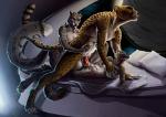 2014 andraste balls bed cheetah cum cum_in_pussy cum_inside erection eyes_closed feline female group group_sex leopard lying male mammal nude on_back penetration penis pussy raised_leg sex size_difference snow_leopard space spread_legs spreading straight threesome vaginal vaginal_penetration
Rating: Explicit
Score: 15
User: tony311
Date: March 11, 2014