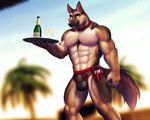 abs alcohol animal_genitalia anthro balls beach beverage casual_exposure champagne clothing countershading fishnet_clothing frontal-mesh_swimsuit genitals holding_object ineffective_clothing looking_at_viewer male mostly_nude muscular muscular_anthro muscular_male navel necktie nipples one-piece_swimsuit outside palm_tree pecs pen penis plant pose public public_exposure receipt resort seaside serving serving_alcohol serving_beverage sheath solo swimwear text text_on_clothing text_on_swimwear translucent translucent_clothing tree tropical waiter wallet writing_utensil dream_and_nightmare canid canine canis domestic_dog german_shepherd herding_dog mammal pastoral_dog 2018 5:4 pinup