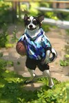 anthro ball basketball_(ball) black_body black_bottomwear black_clothing black_nose black_shorts blurred_background bottomwear brown_eyes clothed clothing fangs front_view glistening glistening_eyes grass holding_ball holding_object hoodie male open_mouth pattern_clothing pattern_hoodie pattern_topwear plant shorts solo standing teeth topwear white_body lostgoose canid canine canis chihuahua domestic_dog mammal toy_dog 2022 dated full-length_portrait portrait signature