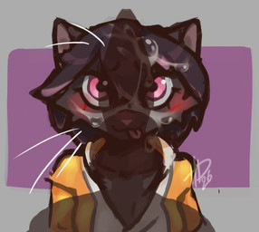 animal_genitalia animal_penis anthro black_body black_fur blush bodily_fluids canine_genitalia canine_penis clothing cum cum_on_face female fur genital_fluids genitals hair jacket looking_at_genitalia looking_at_penis penis penis_shadow shadow solo tongue tongue_out topwear whiskers hawaiika snowflake_(cdt2s) domestic_cat felid feline felis mammal low_res
