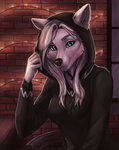 anthro black_clothing black_hoodie black_nose black_topwear clothed clothing female hair hoodie smile solo topwear white_hair taurusart canid canine canis mammal wolf digital_media_(artwork) hi_res