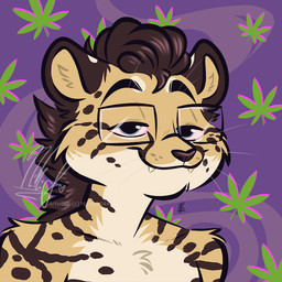 black_spots brown_hair countershading drugs fur hair marijuana markings pattern_background purple_background simple_background solo spots spotted_body spotted_fur stoned substance_intoxication nicnak044 kofi_(kofithechee) cheetah felid feline king_cheetah mammal 1:1