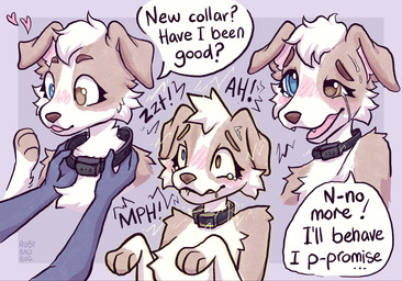 anthro begging begging_to_stop bodily_fluids collar crying electrostimulation female heart_symbol heterochromia shock_collar solo tears text rubybug collargate ruby_(rubybug) canid canine mammal english_text hi_res