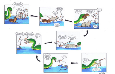 abdominal_bulge age_difference animal_genitalia balls brown_body brown_fur chasing claws competition dialogue feet_first female feral feral_pred feral_prey fur genitals green_body green_scales grey_body grey_fur group head_first larger_pred looking_at_another's_balls loser male male/female male/male multiple_prey older_pred open_mouth partially_inside race rat_tail running scales sheath size_difference smile speech_bubble tail text thought thought_bubble vore white_body white_fur winner young young_prey roz_gibson mammal murid murine rat reptile rodent scalie snake 2015 comic dated english_text signature