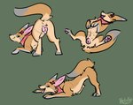 anatomically_correct anatomically_correct_genitalia anatomically_correct_pussy animal_genitalia animal_pussy bedroom_eyes belly butt canine_genitalia canine_pussy female feral flagging fur genitals half-closed_eyes inviting kerchief looking_at_viewer multi_nipple narrowed_eyes neckwear nipples nude open_mouth presenting pussy quadruped raised_tail seductive simple_background smile solo spread_legs spreading tail teasing heliofox sierra_(heliofox) canid canine canis fennec_fox fox mammal true_fox digital_media_(artwork) hi_res
