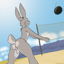 accessory anthro backsack ball balls butt countershade_butt countershade_face countershade_legs countershade_tail countershade_thighs countershade_torso countershading facial_piercing fur genitals gold_(metal) gold_jewelry grey_body grey_fur hair hair_accessory hair_bun hair_tie historically_inaccurate humanoid_genitalia jewelry labret_piercing landscape lip_piercing male mesoamerican_ballgame motion_blur mountain narrowed_eyes net no_irises nude nude_anthro nude_male penis perineum piercing rear_view scut_tail short_tail slim smile solo sport tail volleyball scribefang ihuitl_(scribefang) cottontail_rabbit lagomorph leporid mammal rabbit 1:1 2025 digital_drawing_(artwork) digital_media_(artwork) hi_res