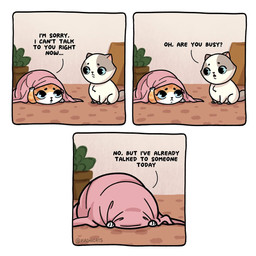 bedding blanket dialogue duo female feral hiding male open_mouth tail text toony young young_female young_feral young_male kashicats butter_(kashicats) mido_(kashicats) domestic_cat felid feline felis mammal 1:1 comic digital_media_(artwork) english_text