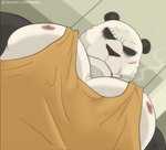 abs anthro fur looking_down low-angle_view male muscular muscular_anthro muscular_male nipples pecs scar solo worm's-eye_view jabuhusky beastars pec_pov_meme gouhin_(beastars) bear giant_panda mammal 2024 hi_res meme