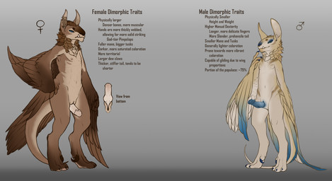 animal_genitalia anthro bedroom_eyes blue_eyes dewclaw duo feathers female flat_chested genitals green_eyes grumpy half-closed_eyes knot larger_female looking_at_viewer male mane narrowed_eyes nipples penis pseudo-penis seductive size_difference smaller_male standing text tusks vulva wings wrigglingwyvern ignaelesce_s01p caribeld chimera hybrid 2018 detailed digital_media_(artwork) english_text hi_res model_sheet