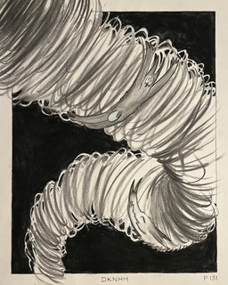 3_fingers anthro balls border duo fingers genitals male penis portal smile tornado sharkinthepark all_mighty_lord_(sharkinthepark) avian bat bird mammal owl 2026 4:5 absurd_res charcoal_(artwork) comic greyscale hi_res monochrome traditional_media_(artwork)