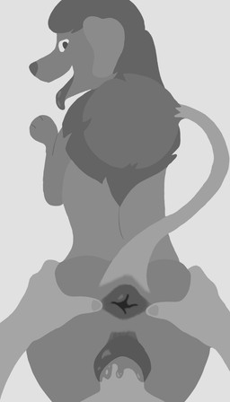 animal_genitalia animal_vulva anus bestiality bodily_fluids butt butt_grab canine_genitalia canine_vulva duo erection female female_penetrated feral feral_penetrated first_person_view genital_fluids genitals hand_on_butt human_on_feral human_penetrating human_penetrating_feral interspecies looking_at_viewer looking_back male male/female male_on_feral male_penetrating male_penetrating_female penetration penis sex simple_background spread_anus spreading toony vaginal vaginal_fluids vaginal_penetration vulva lotnik5 canid canine canis domestic_dog human mammal poodle 4:7 absurd_res hi_res lineless monochrome sketch