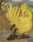 ambiguous_gender animal_genitalia anthro claws cloaca duo feathers feces feet genitals scatplay solo_focus toe_claws yellow_body yellow_feathers conditional_dnp wolftacos final_fantasy square_enix avian chocobo absurd_res hi_res