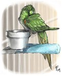 bowl cage container feathers feral folded_wings food_bowl green_body green_feathers green_tail green_wings light male male_feral perching pet_bowl sleeping solo tail tail_feathers wings lyosha talbot_(lyosha) avian bird parakeet parrot true_parrot white-eye_(bird) 2004 colored digital_drawing_(artwork) digital_media_(artwork) english_description lighting low_res shaded signature