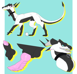 animal_genitalia balls bell bell_collar belly black_belly blue_eyes bodily_fluids claws collar cum cum_in_container ears_back ears_up erection facial_markings feral finger_claws fully_sheathed genital_fluids genitals half-erect head_markings horn horn_jewelry horn_ring jewelry leg_markings male markings mask_(marking) penis penis_tip pivoted_ears precum precum_bead ring_(jewelry) sheath snarling socks_(marking) solo spade_tail tail teeth toe_claws white_body ore4 mythology silvanis_(character) dragon mythological_creature mythological_scalie scalie wingless_dragon absurd_res hi_res model_sheet
