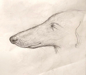 ears_down eyebrows feral fur long_snout looking_forward male pivoted_ears smile snout solo reynard_goodfellow canid canine canis domestic_dog mammal headshot_portrait monochrome portrait sketch