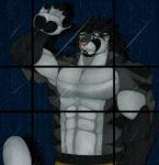 abs anthro athletic beard biceps big_muscles biped black_body black_fur black_hair black_pawpads blue_eyes bottomwear chest_tuft clothed clothing facial_hair fur grey_body grey_fur hair male markings muscular muscular_anthro muscular_male pawpads paws pecs pink_nose pose raining shorts solo standing stripes teeth topless tuft window dazen_cobalt dazen_(character) felid mammal pantherine tiger hi_res