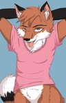 anthro bedroom_eyes blue_background blue_eyes clothing male narrowed_eyes pink_clothing pink_shirt pink_topwear seductive shirt simple_background solo topwear ziggy_wolf ghostsealo foxrich canid canine fox mammal red_fox true_fox absurd_res hi_res