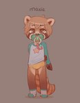 4_fingers anthro biped brown_body brown_eyes brown_fur clothing fingers footwear fur hand_behind_back looking_at_viewer male object_in_mouth pacifier pacifier_in_mouth paws shirt socks solo topwear underwear young young_anthro young_male skidoo max_(skidoo) ailurid mammal red_panda hi_res