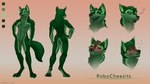 anthro fur green_body green_fur male solo duskinwolf robocheezits canid canine canis hybrid mammal wolf absurd_res hi_res model_sheet