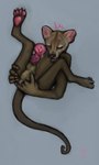 anal anal_fingering anal_penetration anatomically_correct anatomically_correct_genitalia anatomically_correct_penis animal_genitalia animal_penis anthro aroused_male balls balls_touching big_penis bodily_fluids claws edging erection eyes_closed feet feral feral_anatomy feral_penetrating fingering fingering_self flared_penis fossa_genitalia fossa_penis fossa_tail genital_fluids genitals huge_penis male masturbation nude_anthro open_mouth pawpads penetration penile_spines penis precum presenting quadruped sheath solo spread_legs spreading toe_claws tongue tongue_out bunnylikerabid euplerid fossa mammal colored_sketch digital_drawing_(artwork) digital_media_(artwork) line_art sketch