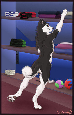 animal_genitalia animal_vulva anthro canine_genitalia canine_vulva female genitals looking_back nude pawpads rear_view smile solo standing vulva gthusky canid canine canis domestic_dog husky mammal nordic_sled_dog spitz absurd_res hi_res