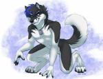 anthro ascot athletic athletic_anthro athletic_male black_body black_fur black_hair black_nose blue_eyes blue_hair dog_tags ear_piercing fangs fur hair heterochromia male piercing smile solo teeth white_body white_fur ifus ascot_huskamute huskamute mixed_breed digital_media_(artwork)