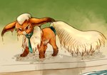 ambiguous_gender black_nose bow_ribbon feral fur liquid necktie orange_body orange_fur simple_background soaked solo tan_body tan_fur water wet spacesmilodon nintendo pokemon eeveelution flareon generation_1_pokemon pokemon_(species) 2014