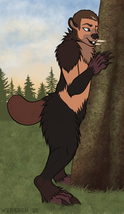 forest forest_background fur fur_growth growth male nature nature_background paw_growth plant sky species_transformation tail tail_growth transformation tree whiskers wereren beaver humanoid mammal rodent absurd_res hi_res