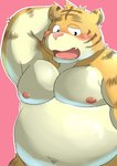 anthro belly blush cute_fangs fangs kemono male moobs navel nipples overweight overweight_male pink_background pink_nose simple_background solo teeth bunta_(sisiwaka_3) felid mammal pantherine tiger 2016 absurd_res hi_res