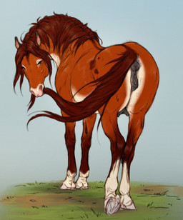 animal_genitalia animal_vulva anus brown_eyes brown_mane brown_tail equine_anus equine_genitalia equine_vulva female female_feral feral fur genitals glistening glistening_eyes grey_background hooves leg_markings mane markings narrowed_eyes orange_body orange_fur presenting presenting_anus presenting_vulva puffy_anus rear_view simple_background socks_(marking) solo tail teats underhoof vulva white_body white_fur scarlanya phen_(phenharuka) equid equine horse mammal absurd_res hi_res huge_filesize sketch