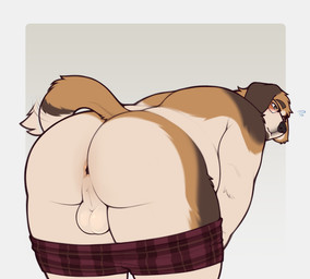 anthro anus backsack balls bashful belly bent_over big_butt blush boxers_(clothing) boxers_down boxers_only brown_body brown_fur butt clothed clothing eyewear facial_hair floppy_ears fur genitals glasses inviting male multicolored_body multicolored_fur overweight overweight_anthro overweight_male partially_clothed perineum presenting presenting_anus presenting_hindquarters rear_view shy solo stocky tail tail_aside tail_motion tailwag teasing teasing_viewer topless underwear underwear_down underwear_only undressed ajdrawsnice camilo_(ajdrawslewd) canid canine canis domestic_dog mammal molosser mucuchies 2025 hi_res