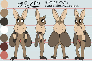 balls color_swatch fluffy genitals male penis simple_background solo text turnaround wings otterjunk ezra_(otterjunk) arthropod insect lepidopteran moth 2019 3:2 absurd_res english_text hi_res model_sheet