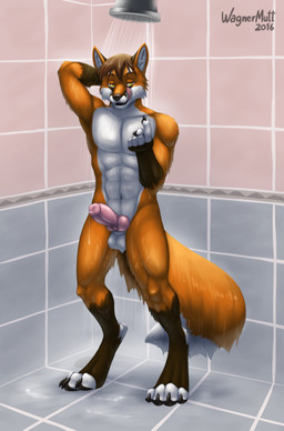 4_toes 5_fingers abs anatomically_correct anatomically_correct_genitalia anatomically_correct_penis animal_genitalia animal_penis anthro balls bathing bathroom beckoning bedroom_eyes biceps biped black_body black_claws black_fur black_markings black_nose bodily_fluids brown_hair canine_genitalia canine_penis claws countershade_face countershade_torso countershading detailed_background digitigrade dipstick_tail dripping ear_markings erection eyebrows facial_markings feet fingerless_(marking) fingers front_view fur genital_fluids genitals gesture gloves_(marking) hair half-closed_eyes hand_behind_head head_markings humanoid_hands inner_ear_fluff inside inviting knot leg_markings licking licking_lips licking_own_lips lips looking_at_viewer male markings multicolored_body multicolored_fur multicolored_tail muscular muscular_anthro muscular_male narrowed_eyes naughty_face navel nude orange_body orange_fur orange_tail paws pecs penis pink_penis pink_tongue precum precum_drip precum_string raised_arm seductive self_lick sheath short_hair shower shower_head showering snout socks_(marking) solo standing tail tail_markings tile toe_claws toeless_(marking) toes tongue tongue_out tuft two_tone_tail water wet wet_body wet_fur white_balls white_body white_countershading white_fur white_markings white_tail yellow_eyes wagnermutt werefox_(character) canid canine fox mammal red_fox true_fox 2016 absurd_res detailed digital_media_(artwork) full-length_portrait hi_res portrait shaded signature soft_shading