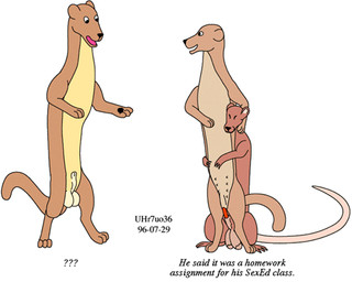 adolescent age_difference animal_genitalia balls brown_body brown_fur cheating_wife cuckold dialogue female feral fur genitals group infidelity interspecies male male/female nipples open_mouth penis question_mark sheath shocked size_difference smile tail text toony trio vaginal young young_male urbanhermit mammal murid murine mustelid musteline rat rodent true_musteline weasel 1996 colored dated english_text