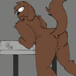 anthro anus aroused blush body_blush brown_body brown_fur butt dripping_vulva female fur genital_focus genitals nude raised_tail solo tail vulva vulva_blush vulva_focus piperis paprika_c_lupis bird_dog canid canine canis cocker_spaniel domestic_dog hunting_dog mammal spaniel 1:1 hi_res