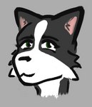 anthro female green_eyes looking_at_viewer pointy_ears prick_ears smile solo asphalt_(artist) shelby_(spaceface404) border_collie canid canine canis collie domestic_dog herding_dog mammal pastoral_dog sheepdog headshot_portrait portrait